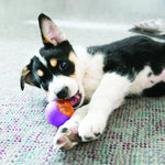 Cargar imagen en el visor de la galería, Pelota Squezz Action 2 Pzas