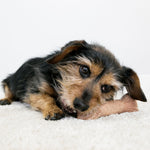 Cargar imagen en el visor de la galería, Hueso Palo Mediano Para Masticar. Contiene Madera Real Y Aroma A Tocino