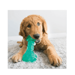 Cargar imagen en el visor de la galería, Squeezz Hueso Dental Mediano