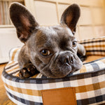 Cargar imagen en el visor de la galería, Pensión Tipo Hostal