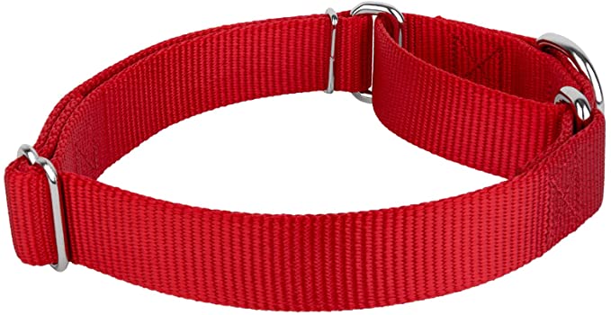 COLLAR MARTINGALE DE NYLON ROJO