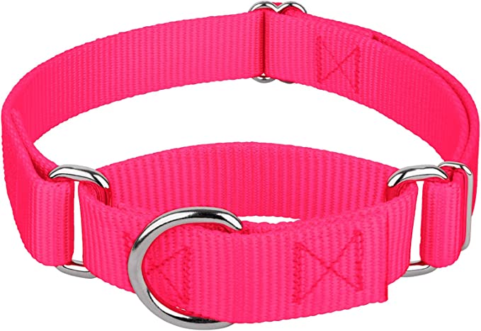 COLLAR MARTINGALE DE NYLON ROSA NEON