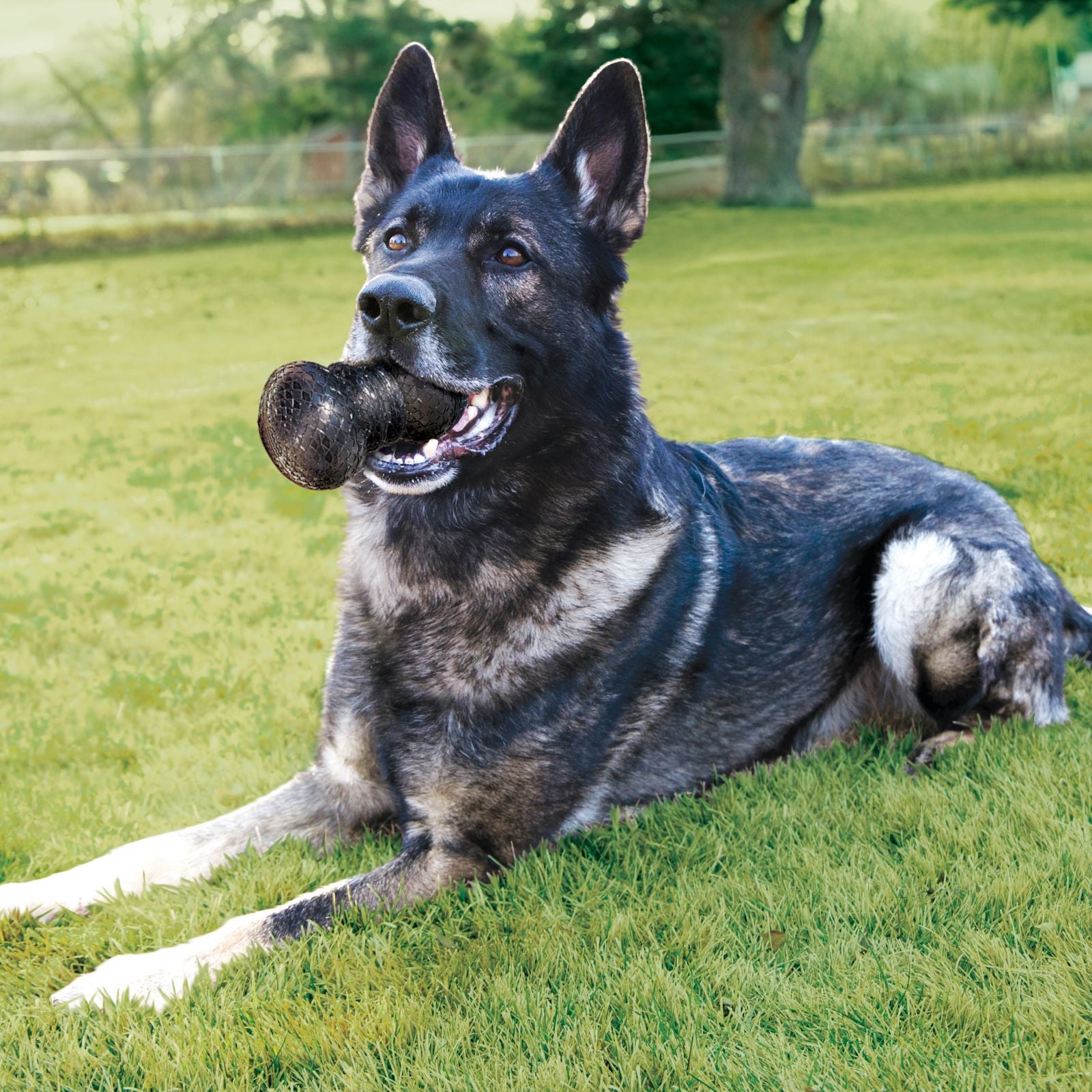 Pelota Duramax. Material K-100 Ultra Duradero