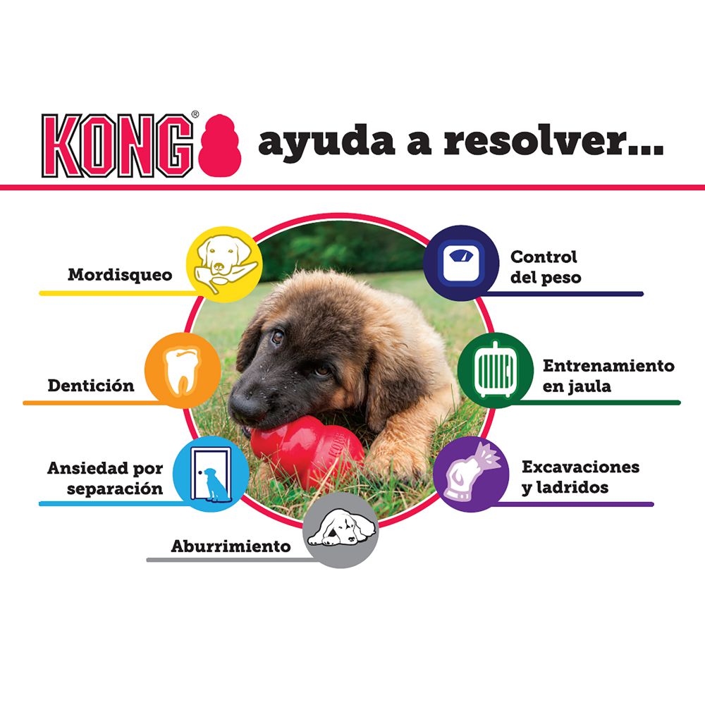 Senior Kong